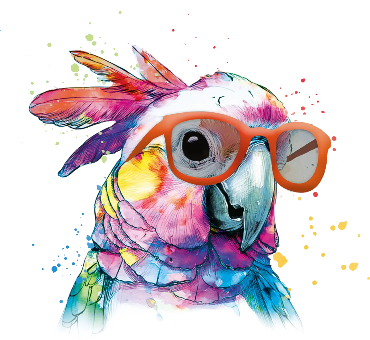 Papagei-Kopf Papagei Kopf