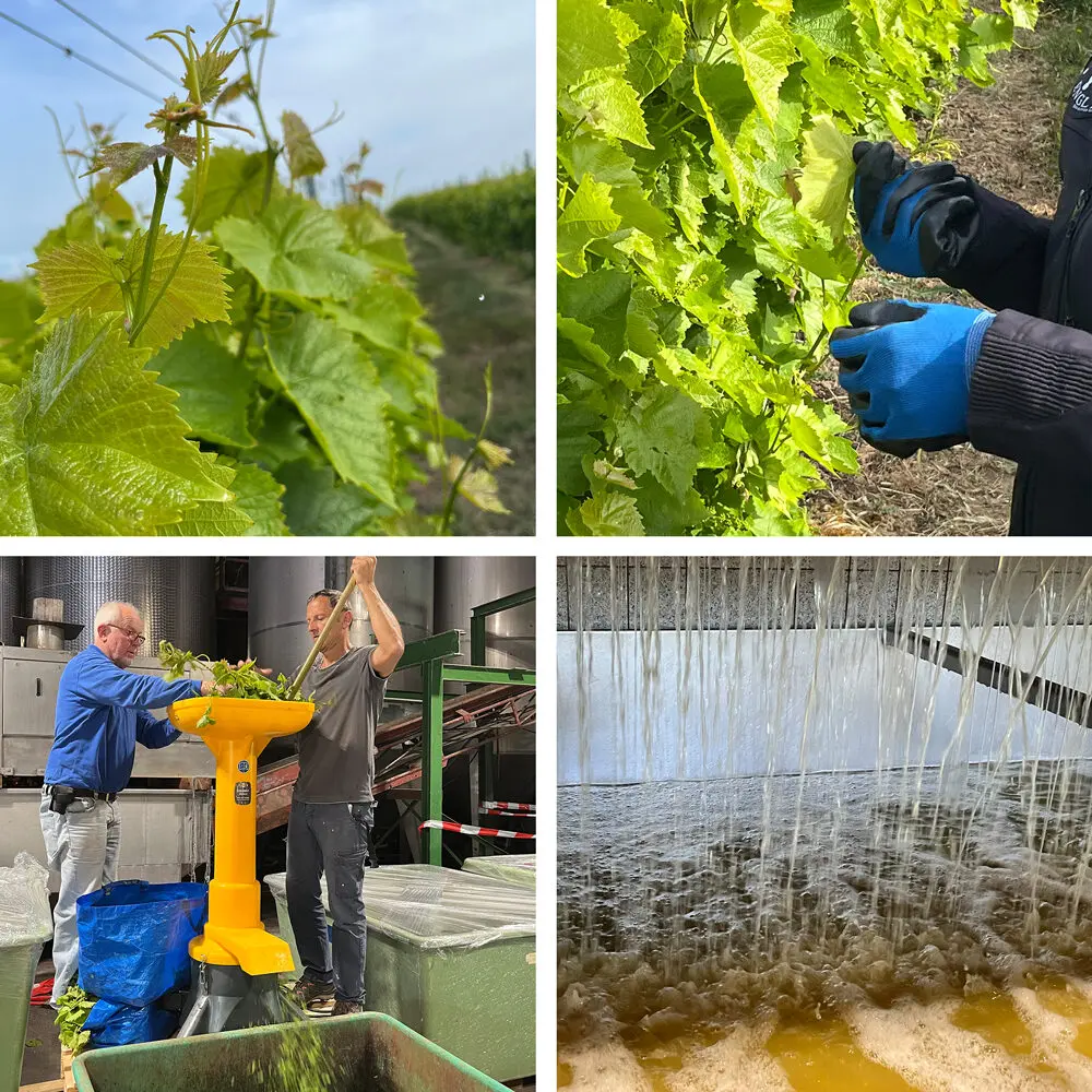 unser innovatives Herstellungsverfahren